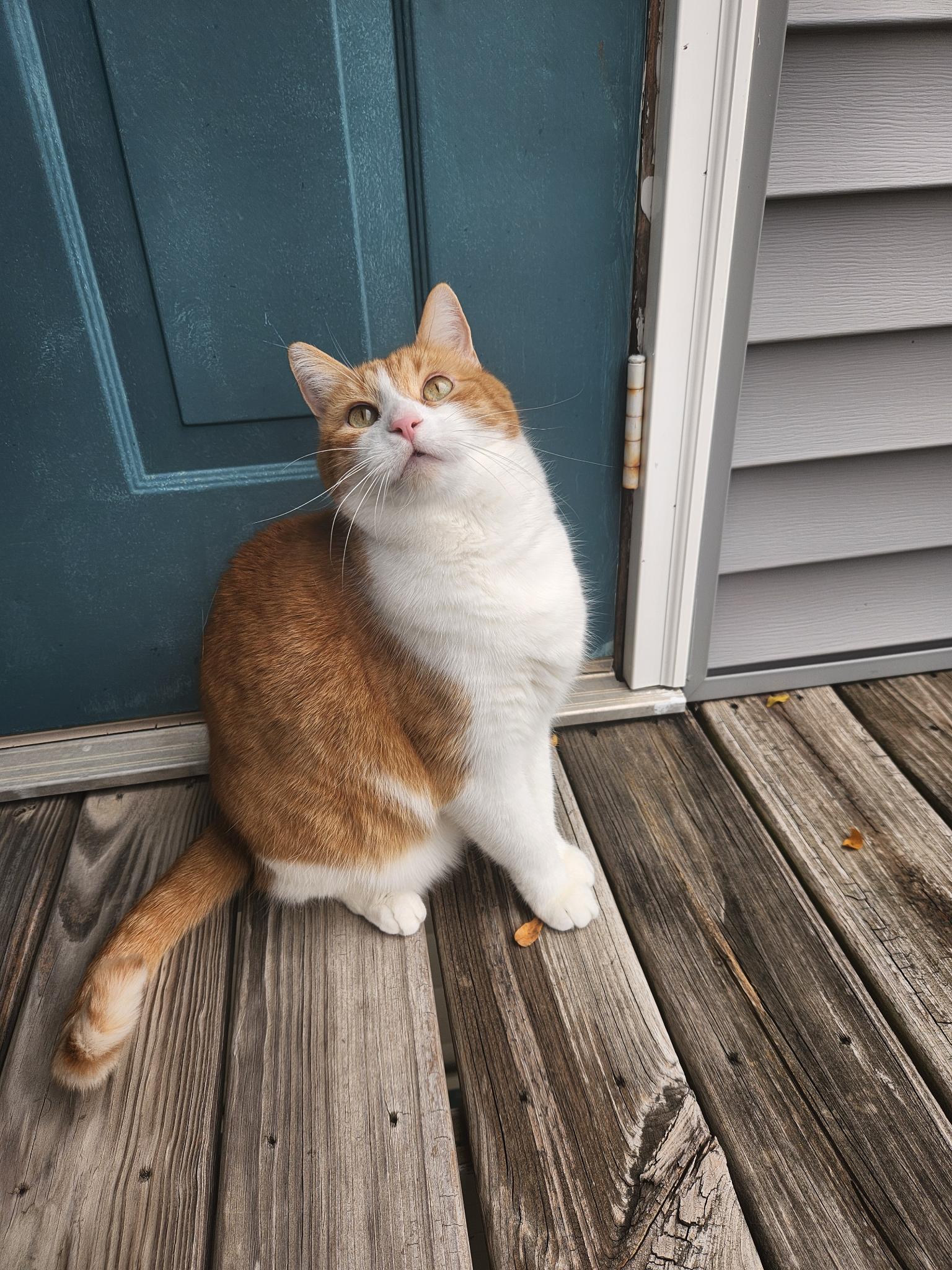 Rusty standing at the front door